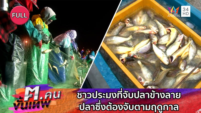 ชาวประมงที่จับปลาข้างลาย ปลาซึ่งต้องจับตามฤดูกาล | ฅ.คนขั้นเทพ