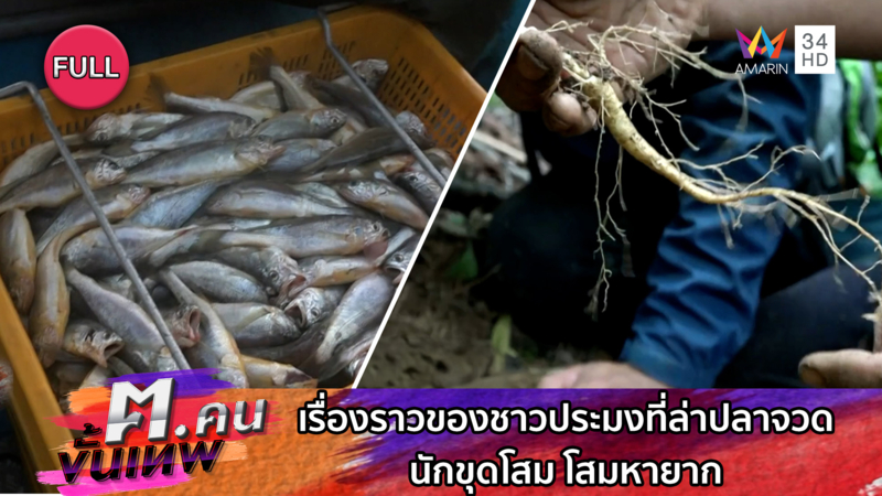 เรื่องราวของชาวประมงที่ล่าปลาจวด นักขุดโสม โสมหายาก | ฅ.คนขั้นเทพ