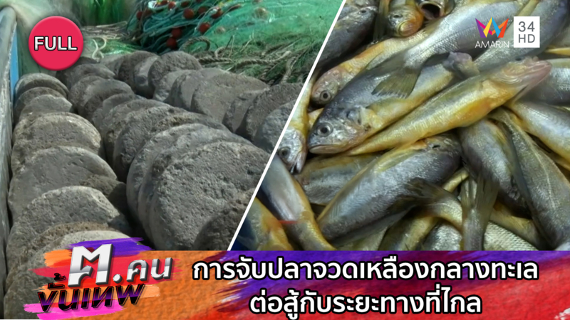 การจับปลาจวดเหลืองกลางทะเล ต่อสู้กับระยะทางที่ไกล | ฅ.คนขั้นเทพ