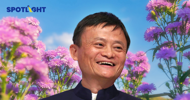 Alibaba กำไรโตเป็น 3 เท่า หุ้น +13% รับเช้าวันศุกร์