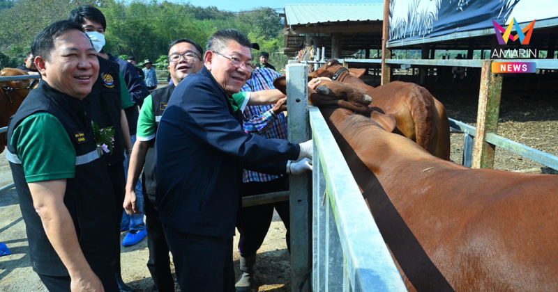 ก.เกษตรฯ คิกออฟรณรงค์ฉีดวัคซีน "โรคลัมปีสกิน" 7.8 ล้านโดส ลดการสูญเสีย