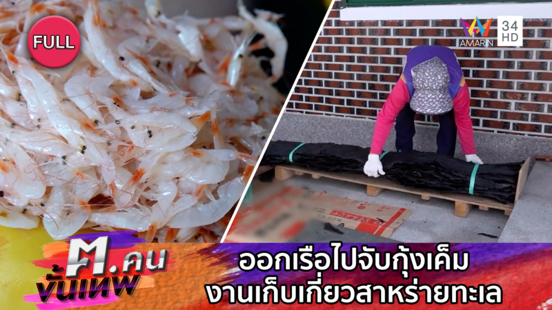 ออกเรือไปจับกุ้งเค็ม งานเก็บเกี่ยวสาหร่ายทะเล | ฅ.คนขั้นเทพ