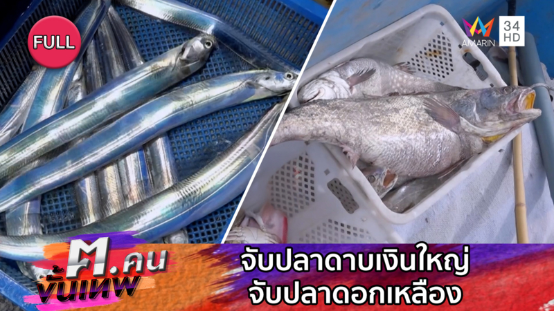 จับปลาดาบเงินใหญ่ จับปลาดอกเหลือง | ฅ.คนขั้นเทพ