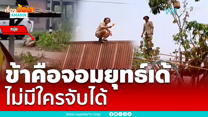 หนุ่มคลั่งยาเผาป่า หนีขึ้นต้นไม้ ปีนหลังคา ข้าคือจอมยุทธ์เด้
