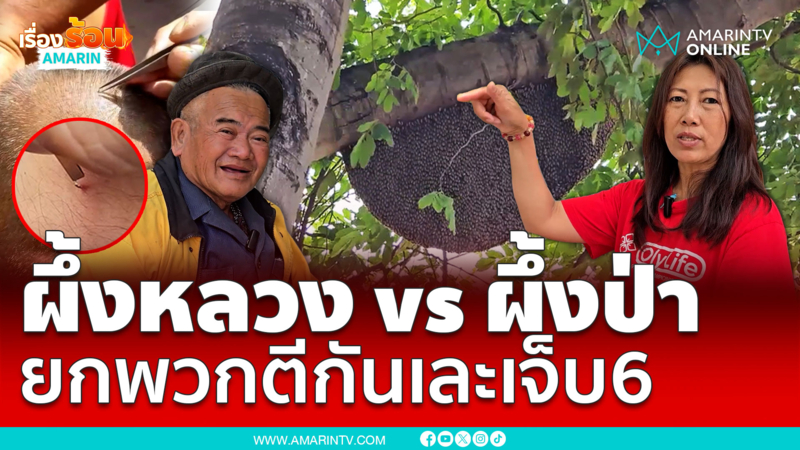 ผึ้งหลวงปะทะผึ้งป่า งานนี้ชาวบ้านซวย