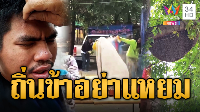 ผึ้งหลวงแตกรัง บินรุมต่อยผึ้งป่าคาลังแม่ค้าขายน้ำผึ้ง