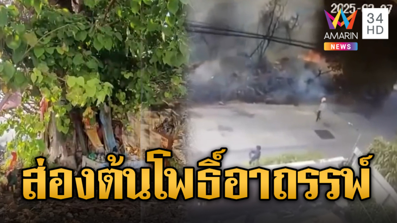 ชาวบ้านแห่ส่องต้นโพธิ์อาถรรพ์ หลังไฟลุกไหม้รอบๆแต่ยังรอด