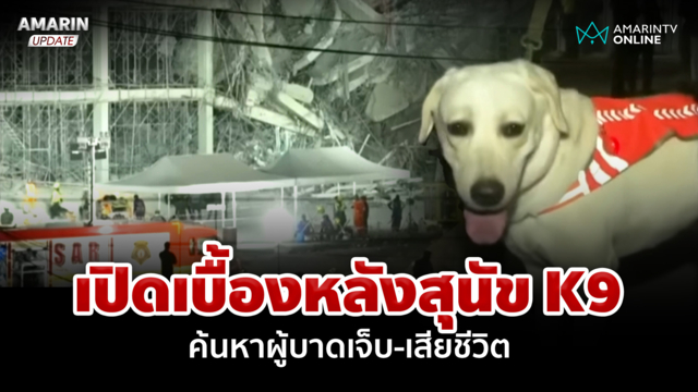 เปิดเบื้องหลังสุนัข K9 ค้นหาผู้บาดเจ็บ-เสียชีวิต ใต้ซากอาคารถล่ม