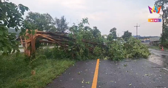 พายุฝนถล่ม จ.พะเยา ฝนตกหนัก ลมกระโชกแรง พัดต้นไม้หักโค่นทับถนน