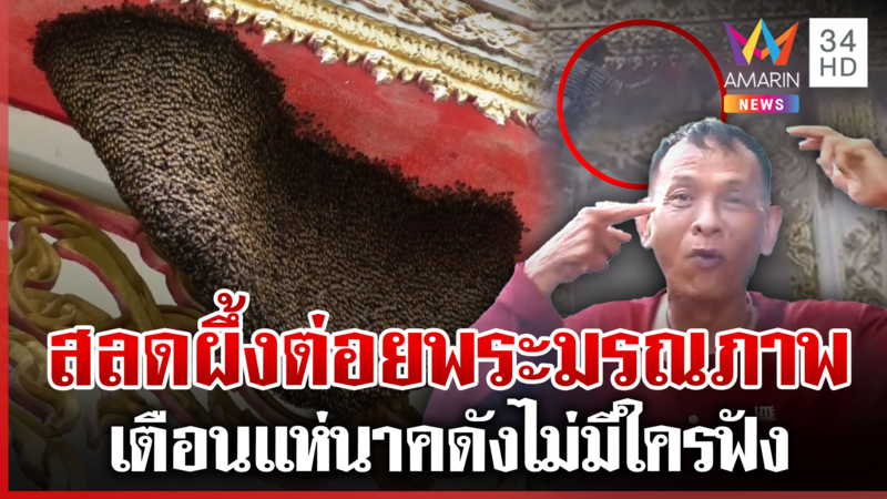 เตือนแห่นาคดังไม่ฟัง ผึ้งแตกรังต่อยพระมรณภาพ-เจ็บเพียบ