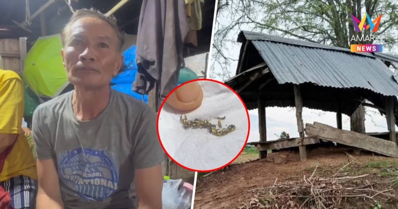 ฟ้าดุเปรี้ยงเดียวกลางกระท่อม ลูกดับ ส่วนพ่อรอดราวปาฎิหาริย์