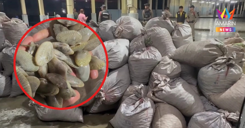 จับเรือเมียนมา ยึดหอยเถื่อนกว่า 5 ตัน ลักลอบนำเข้าน่านน้ำระนอง