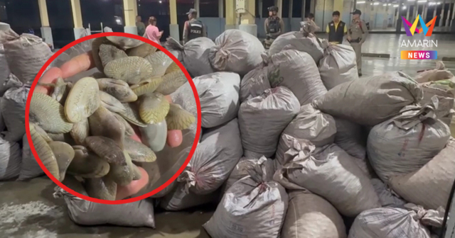 จับเรือเมียนมา ยึดหอยเถื่อนกว่า 5 ตัน ลักลอบนำเข้าน่านน้ำระนอง
