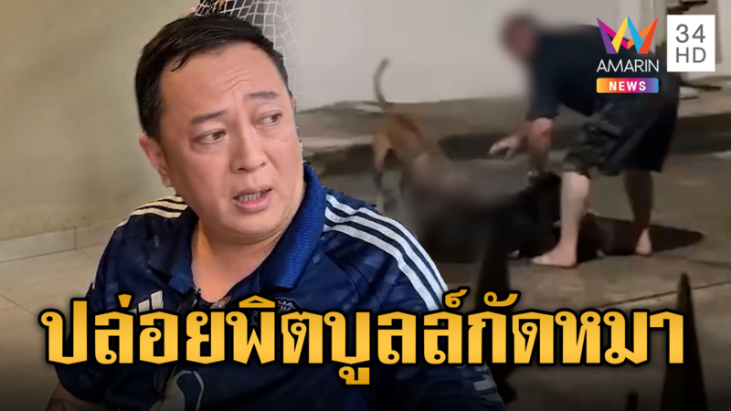 ฝรั่งกร่างปล่อยพิตบูลล์กัดหมาตาย ชาวบ้านหวั่นอันตราย