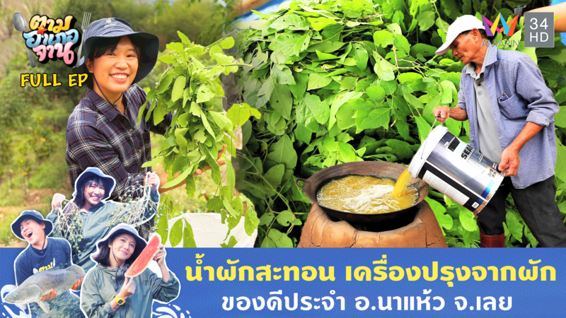 น้ำผักสะทอน เครื่องปรุงจากผัก ของดีประจำ อ.นาแห้ว จ.เลย