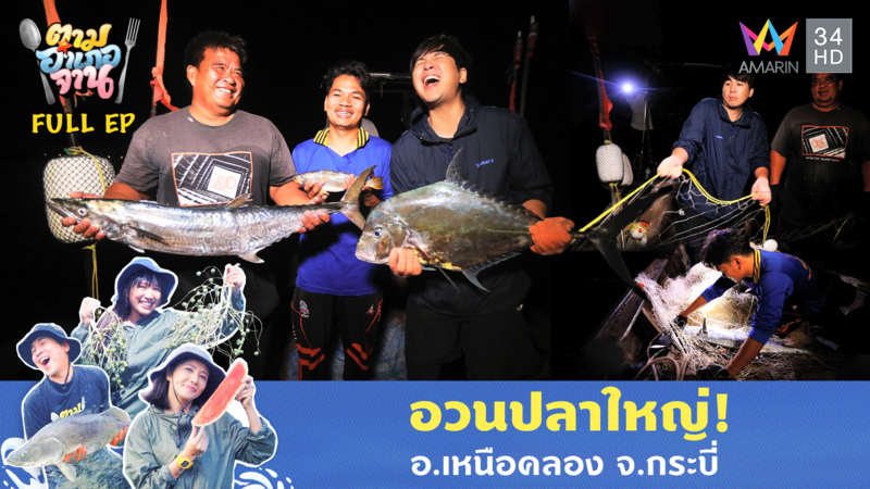 อวนปลาใหญ่! อ.เหนือคลอง จ.กระบี่