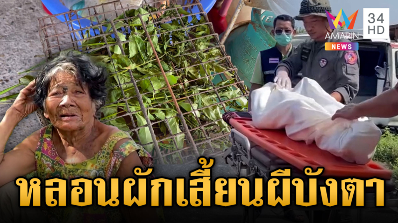 หนุ่มเมาหาผักเสี้ยนผี น็อกดับข้างถนน ผีบังตา