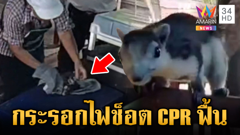 แม่ค้าไอศกรีม ปั๊มหัวใจกระรอกถูกไฟชอร์ต