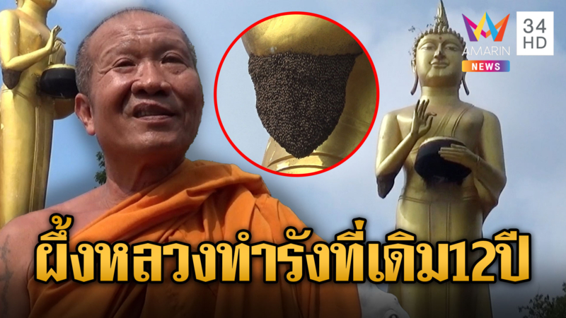 มาตามนัด!! ผึ้งหลวงทำรังใต้ศอกพระประธาน มาเป็นปีที่ 12 แล้ว