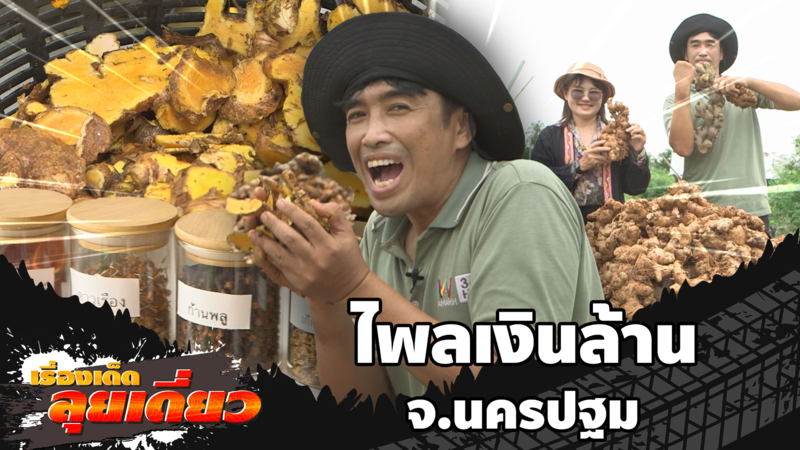เรื่องเด็ดลุยเดี่ยว | ไพลเงินล้าน จ.นครปฐม