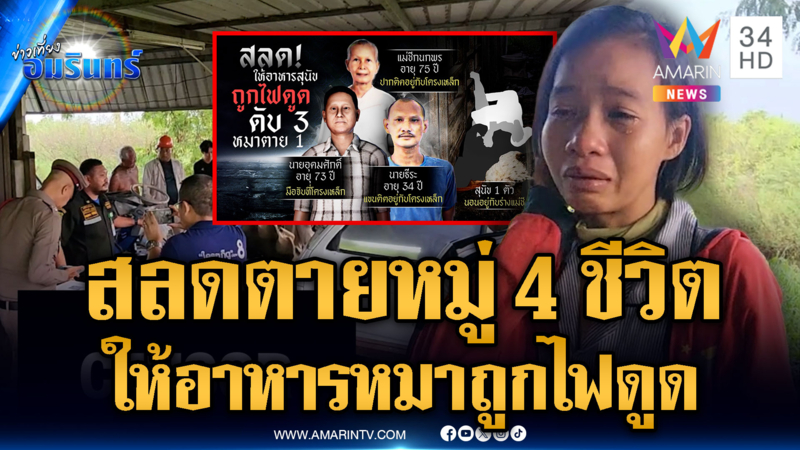 สังเวยให้อาหารสัตว์ แต่ถูกไฟดูด คนตาย 3 หมา 1