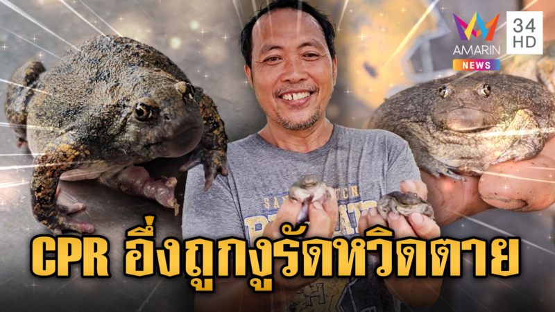 รอดเพราะมี 5 ขา ช่วยอึ่งถูกงูรัดหวิดตาย