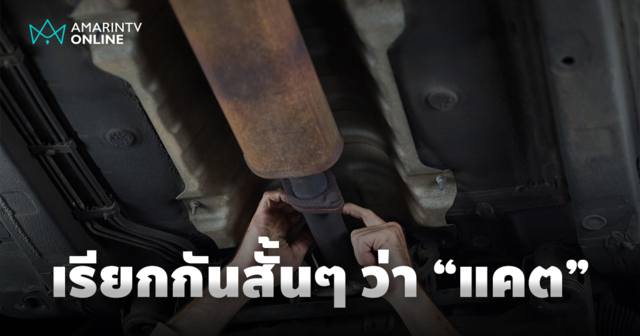 แคตตาไลติกคอนเวอร์เตอร์ หัวใจสำคัญของการลดมลพิษจากรถยนต์