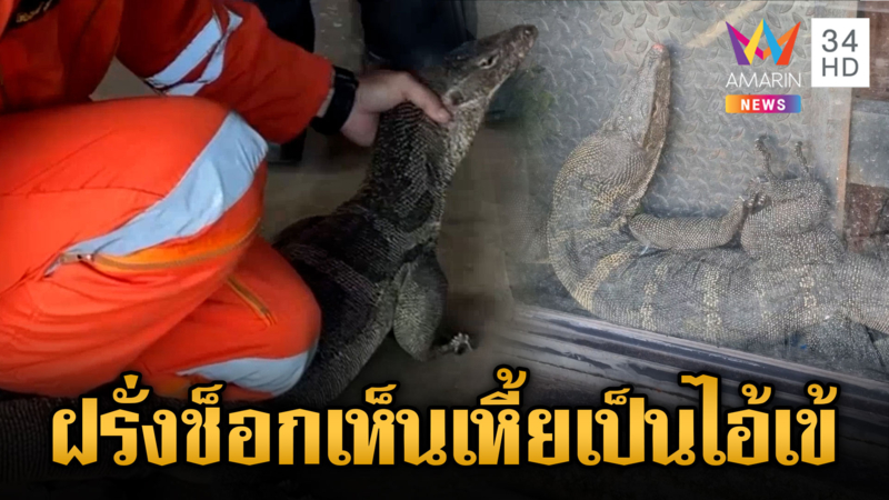 นึกว่าจระเข้ ฝรั่งตกใจตัวเหี้ยบุกร้านอาหาร