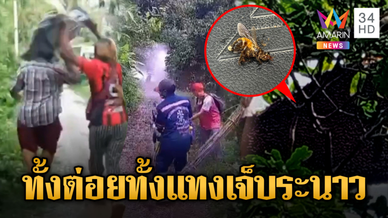 ผึ้งหลวงแตกรัง! ไล่ต่อยชาวบ้าน-กู้ภัย