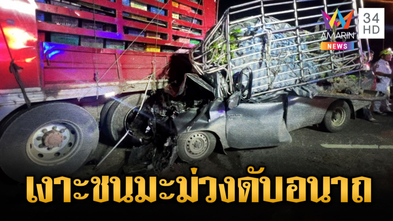 กระบะขนต้นเงาะ ชนบรรทุกขนมะม่วงดับ