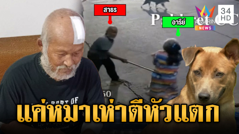 ลุงเตือนหมาเห่าดัง แต่โดนด่ากลับ คว้าฉมวกตีหัวป้าเพื่อนบ้าน
