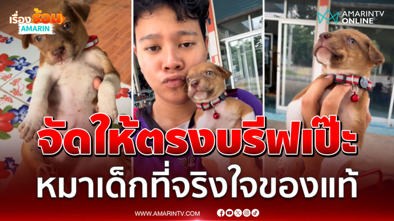 สิ่งศักดิ์สิทธิ์จัดให้ตรงบรีฟเกินหนุ่มขอพรอยากมี“หมาเด็ก”เป็นของตัวเอง