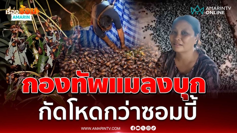 ขนลุก! กองทัพแมลงบุกกัดโหดกว่าซอมบี้