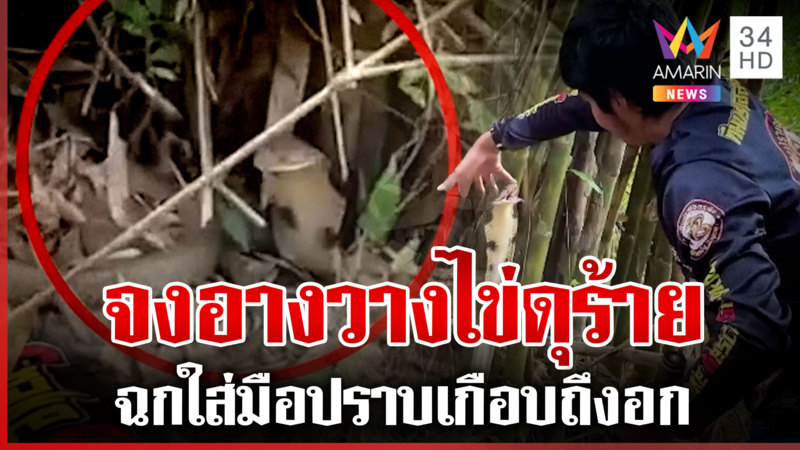 จงอางวางไข่ดุ! ฉกใส่มือปราบเกือบถึงอก เผยปมชูคอเพื่อไม่ให้คนเข้าใกล้