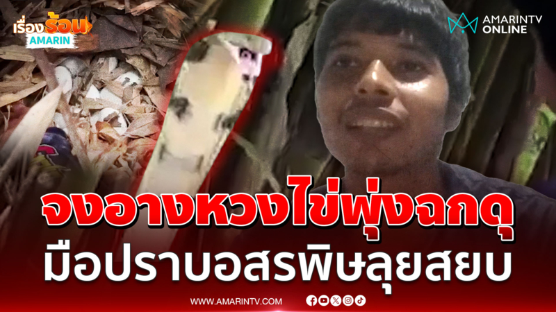 ชูคอผงาด! จงอางหวงไข่พุ่งฉกดุ มือปราบอสรพิษลุยสยบ