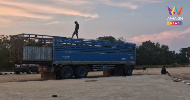 กระทบหนัก! สปป.ลาวสั่งห้ามนำเข้าโค-กระบือจากไทย หวั่นเชื้อแอนแทรกซ์