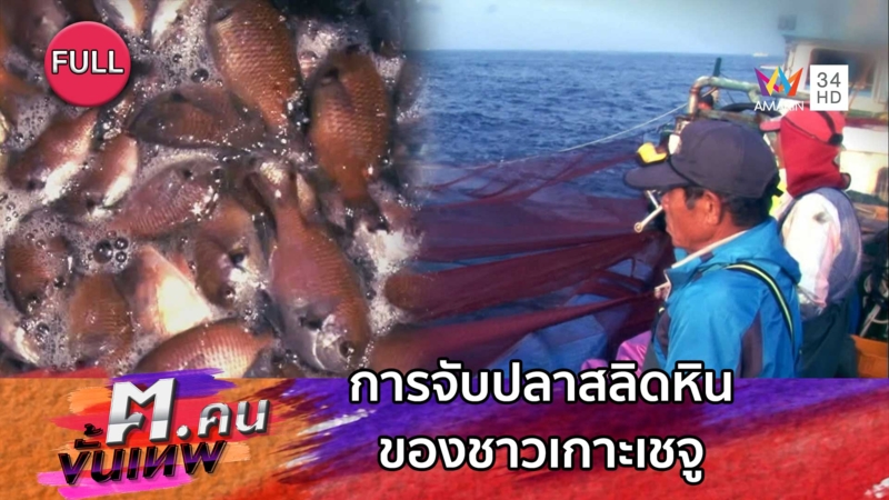การจับปลาสลิดหิน ของชาวเกาะเชจู | ฅ.คนขั้นเทพ