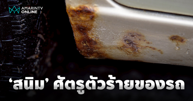 10 สิ่งที่คุณไม่เคยรู้ เกี่ยวกับ 'น้องหนิม' ศัตรูตัวร้ายของรถยนต์