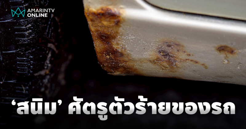 10 สิ่งที่คุณไม่เคยรู้ เกี่ยวกับ 'น้องหนิม' ศัตรูตัวร้ายของรถยนต์
