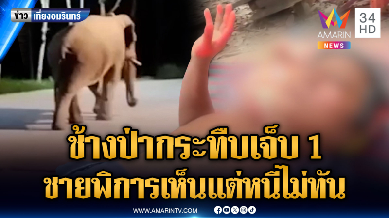 ช้างป่าบุกพังบ้าน ชายพิการเห็นแล้วแต่หนีไม่ทันถูกกระทืบเจ็บ