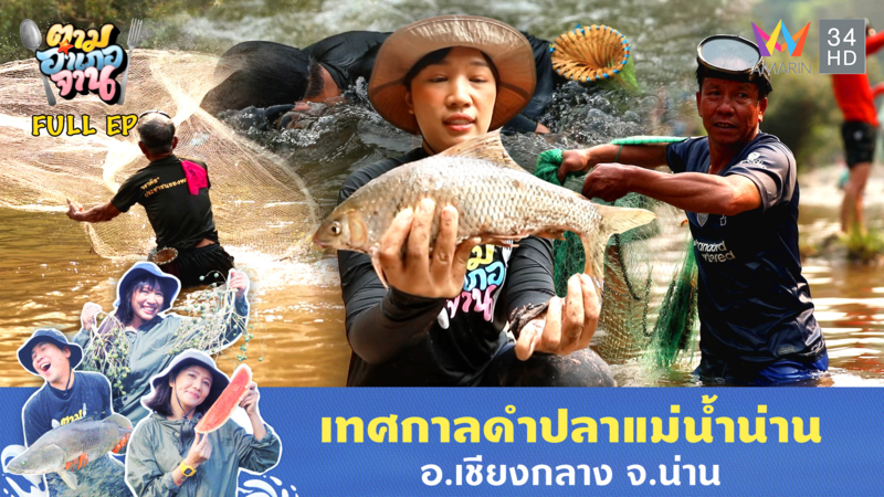 วันเดียวในหนึ่งปี !!! เทศกาลดำปลาแม่น้ำน่าน อ.เชียงกลาง จ.น่าน