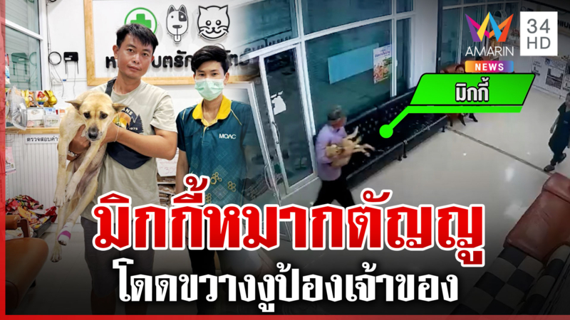 เจ้าของเป็นห่วงมาก หอบตูบยอดกตัญญูหาหมอ หลังโดดขวางงูไม่ให้กัด