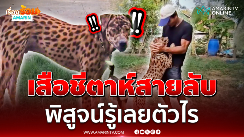 สารคดีเป็นเหตุเสือชีตาห์โผล่ร้อยเอ็ด