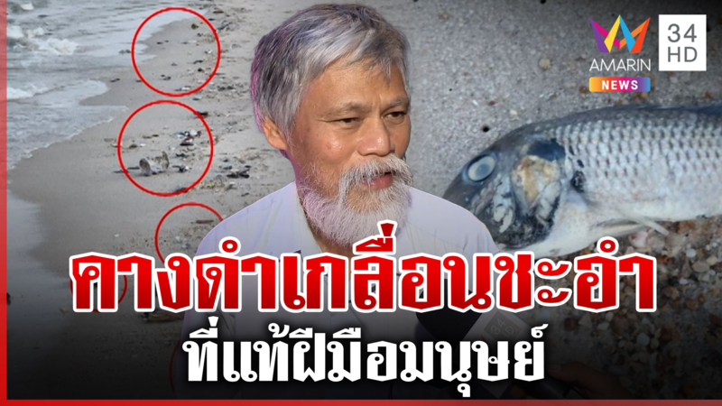 ผวา! ปลาหมอคางดำเกลื่อนหาดชะอำ หวั่นระบาดซ้ำ