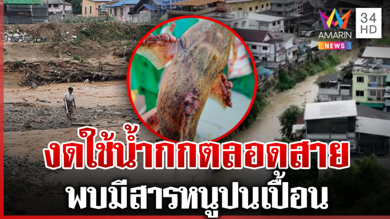 สั่งงดใช้ "น้ำกก" พบสารหนูปนเปื้อน ประมงแจงภาพปลาติดโรคเป็นภาพเก่า