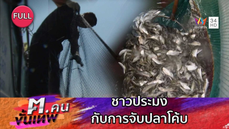 ชาวประมงจับปลาโค้บ | ฅ.คนขั้นเทพ 