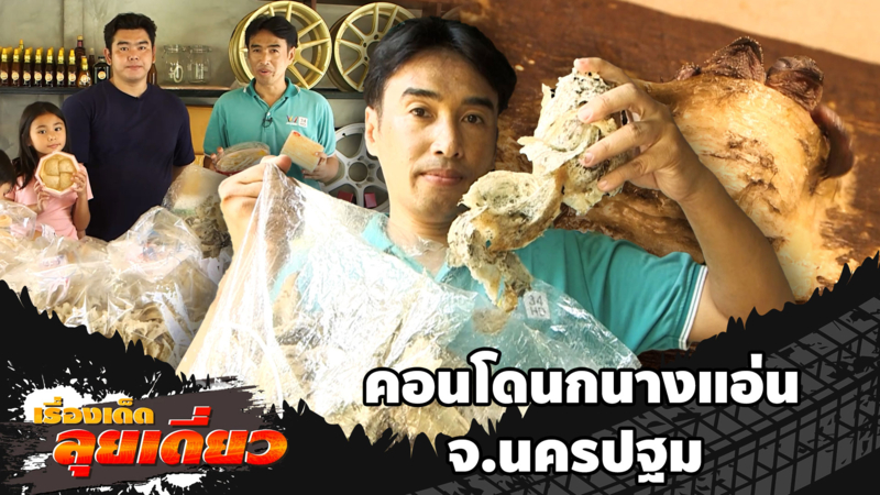 เรื่องเด็ดลุยเดี่ยว | คอนโดนกนางแอ่น จ.นครปฐม