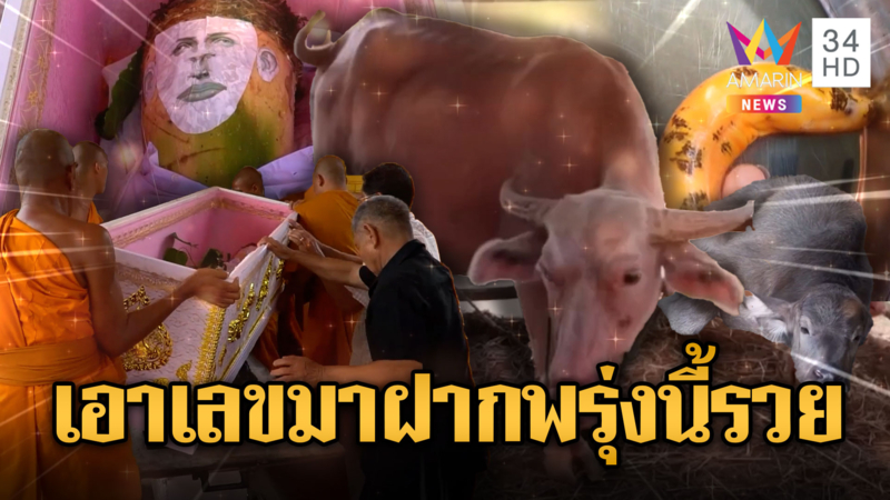 เอาเลขมาฝาก ลุ้นพรุ่งนี้รวย