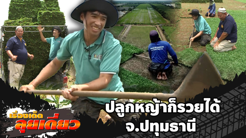 เรื่องเด็ดลุยเดี่ยว | ปลูกหญ้าก็รวยได้ จ.ปทุมธานี