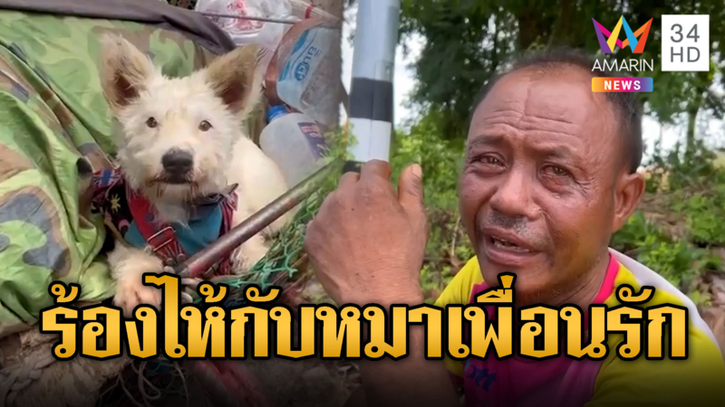 ลุงหมดหนทาง เงินหาย-น้ำมันหมด ขอร้องไห้กับหมาเพื่อนรัก